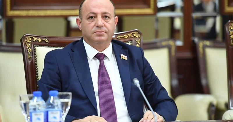 “Bəzi hallarda bu gecikmə şəxsin hüquqlarına ciddi zərər vura bilər”