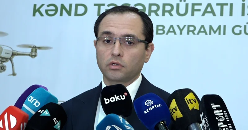 Nazir: Ərzaqlıq buğda istehsalı bir ildə 126 min tondan 170 min tondan çoxa yüksəlib