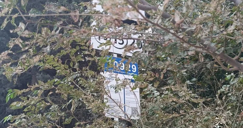 AYNA sürücülərin rahatlığı üçün işləyir, yoxsa onlar bu sistemə uyğunlaşmaq üçün daim əziyyət çəkməlidir?..