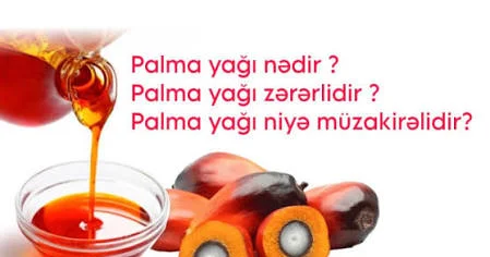 Palma yağı nədir və hansı məhsullarda istifadə olunur? ARAŞDIRMA