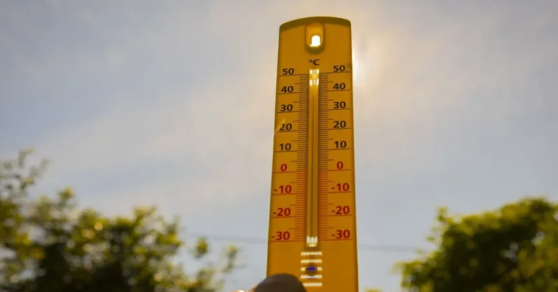 Почти 100 температурных рекордов установлено в России за пять дней