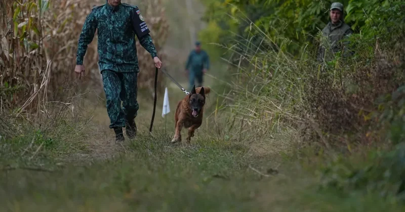 В воинских частях Госпогранслужбы прошли кинологические соревнования ФОТО / ВИДЕО