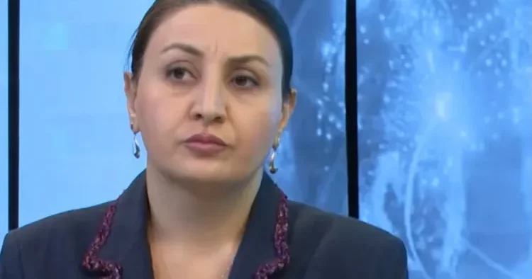 Bunu başlayan tərəfin Türkiyə olması Azərbaycan üçün son dərəcə sarsıdıcıdır AÇIQLAMA