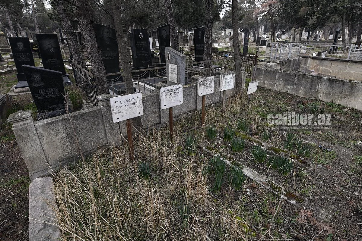 Жизнь и деятельность отца Чуковского в Баку Малоизвестные факты в репортаже