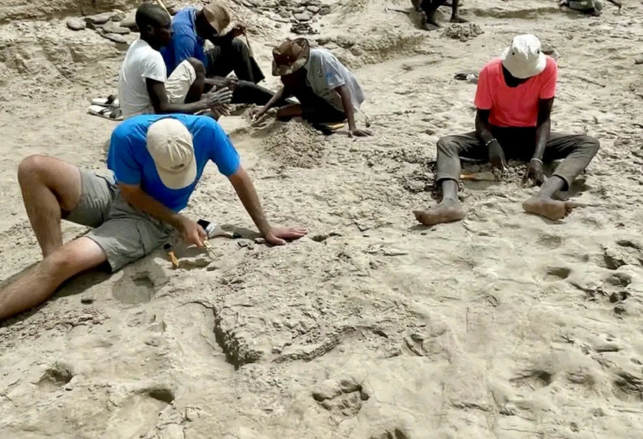 Aşkarlanmış ayaq izləri müasir insanın uzaq qohumları ilə eyni məkanda yaşadığını göstərir TƏDQİQAT AZƏRTAC