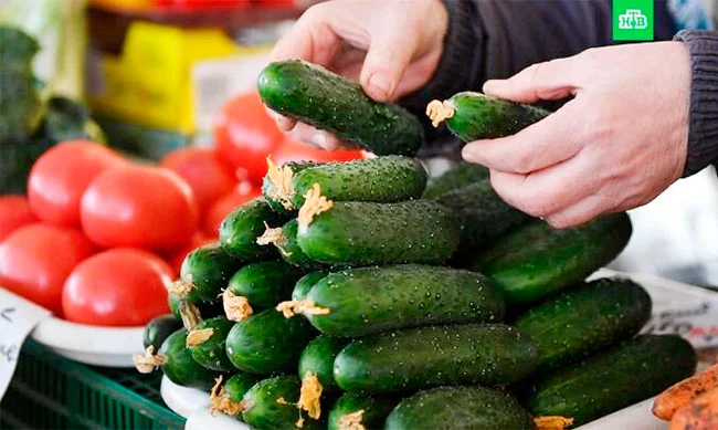 ABŞda “salmonella bakteriyası” panikası: İndi xiyar araşdırılır