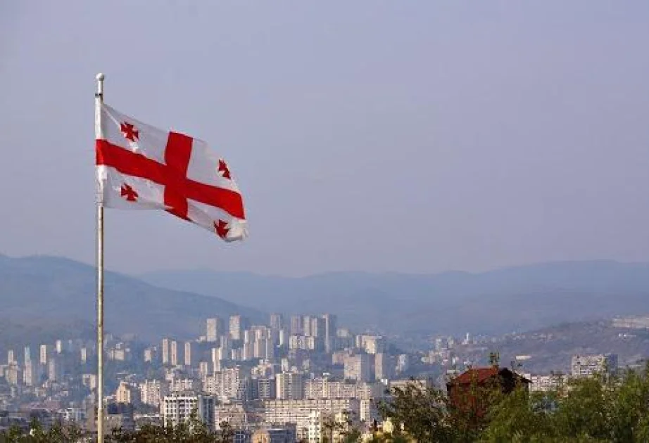 Tbilisidə keçirilən aksiyada 10 polis əməkdaşı yaralanıb AZƏRTAC