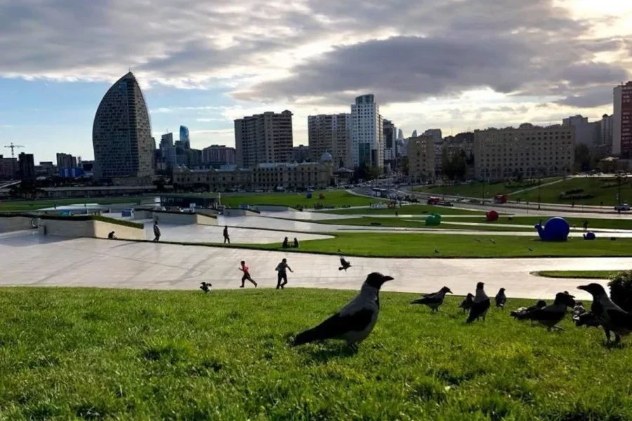 Sabahın hava proqnozu