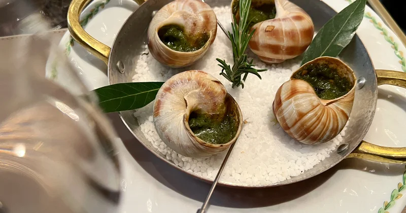 С фермы во Франции украли запас улиток на 90 тысяч евро