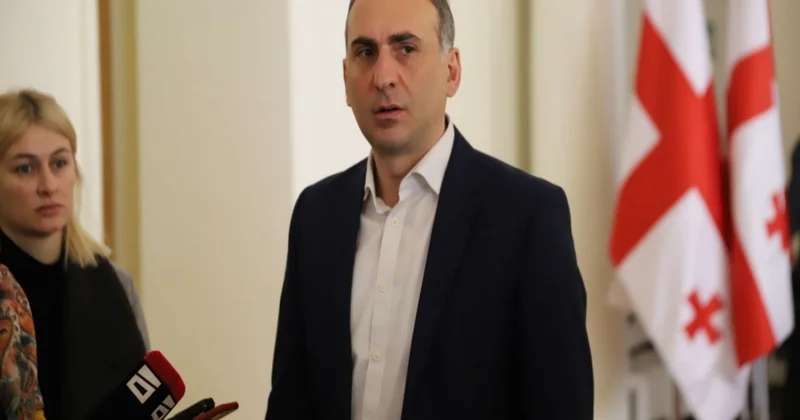 Gürcüstanın müxalifət lideri terrorçuluqda ittiham edilib