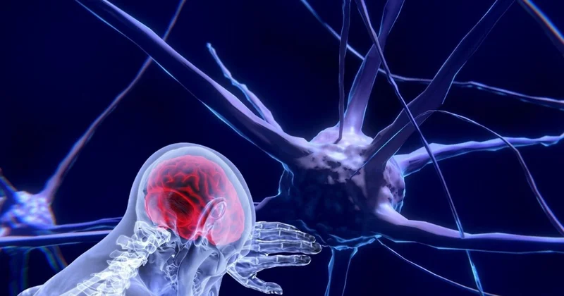 “Ölümdən sonrakı həyat: şüur ölmür, sadəcə, başqa formaya keçir“ “Daily Mail“