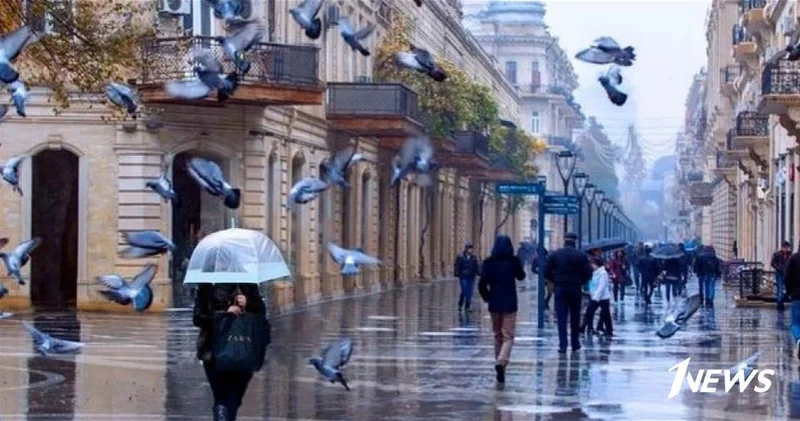 Прогноз погоды на 1 декабря: похолодание и осадки