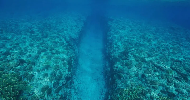 Sakit Okean altında Yer qabığı parçalanır: Alimlər çaşqın vəziyyətdədir