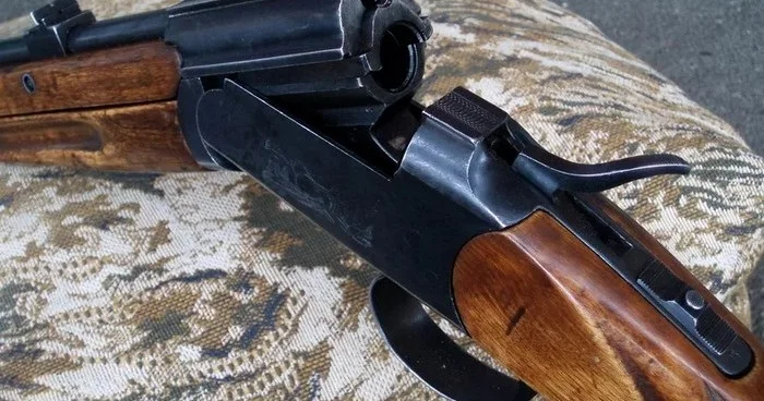 История, в которую трудно поверить: пес, дробовик и один неловкий момент Minval Politika