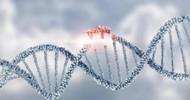 Alimlər insan DNT sində elə bir yer aşkarlayıblar ki...