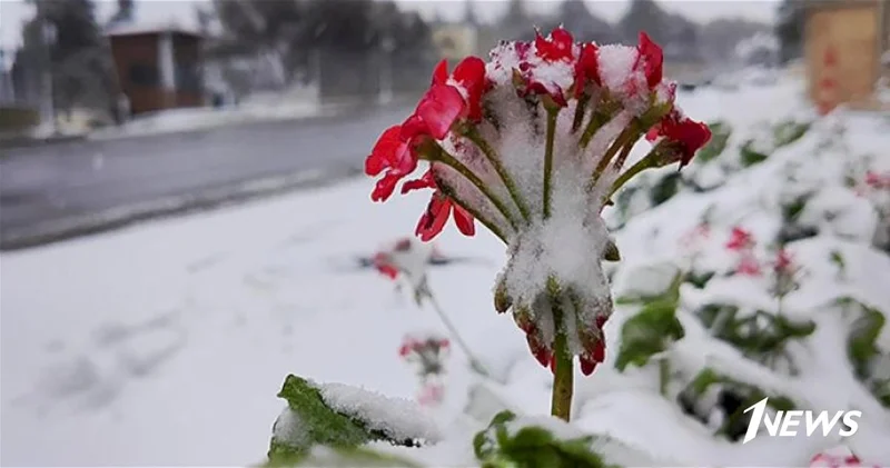 О погоде в регионах: дожди и снег