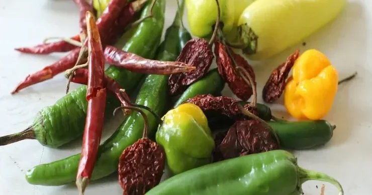 Ədviyyatlı yemək həqiqətən arıqlamağa kömək edirmi?