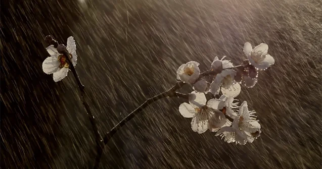 В районах Азербайджана ожидаются дожди ПРЕДУПРЕЖДЕНИЕ