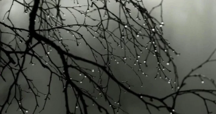 Синоптики предупредили о резкой смене погоды в Азербайджане