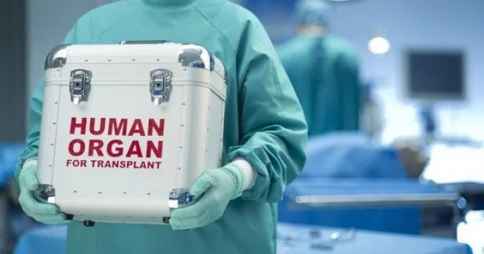 Səhiyyəmizdə yeni mərhələnin başlanğıcı: Meyitdən orqan nəqli məsələsində hansı problemlər var?
