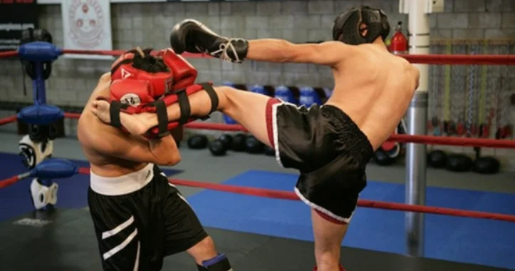 Золотой триумф азербайджанских кикбоксеров в Абу Даби Minval Politika