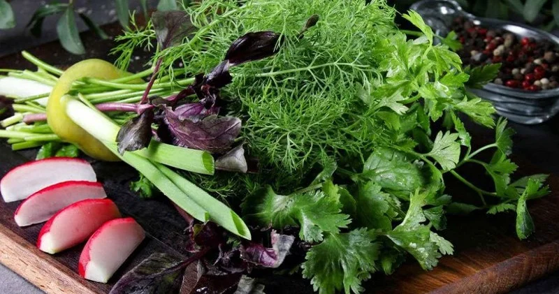 Arıqlama proqramlarının gizli silahı ortaya çıxdı Enerjini ikiqat artıran yaşıl möcüzə