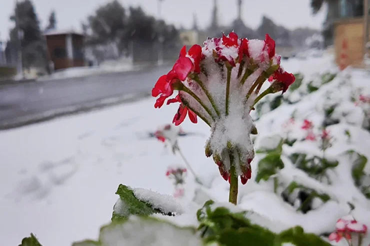 43.5 dərəcə isti, 22 dərəcə şaxta olub Azərbaycan illik hava STATİSTİKASI