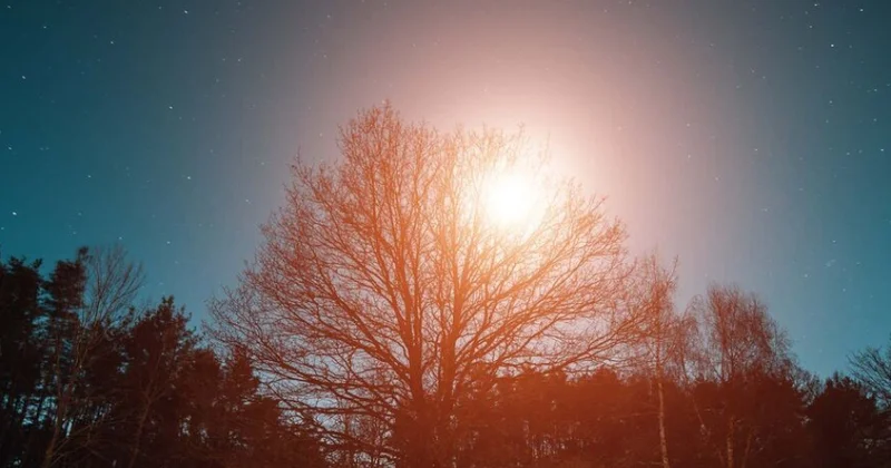 Tədqiqat: Günəş işığı kişilərdə depressiya riskini azaldır