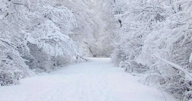 Naxçıvanda qarın hündürlüyü 40 sm ə çatdı