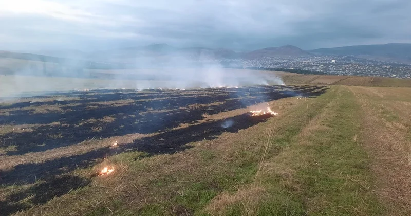 Əkin yerinin yandırılmasına görə yeni cərimələr və HƏBS