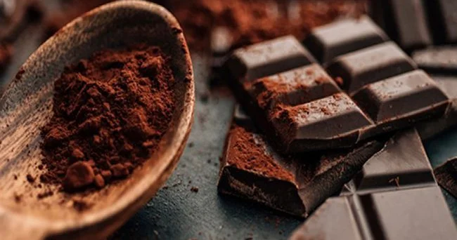 Tədqiqat: Tünd şokoladdakı bir maddə qocalmanı yavaşlada bilər