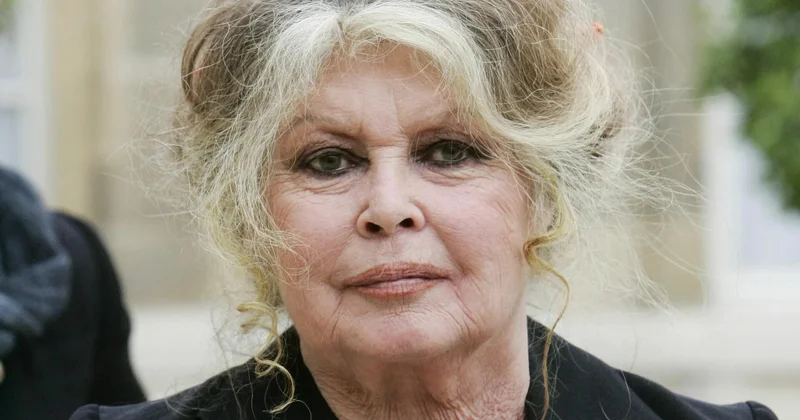 Правое крыло Франции призывает проводить кинозвезду Брижит Бардо с почестями национального уровня