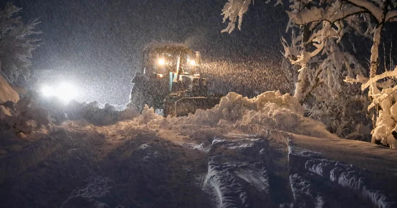 Gürcüstanda qarlı hava bir sıra fəsadlar yaradıb