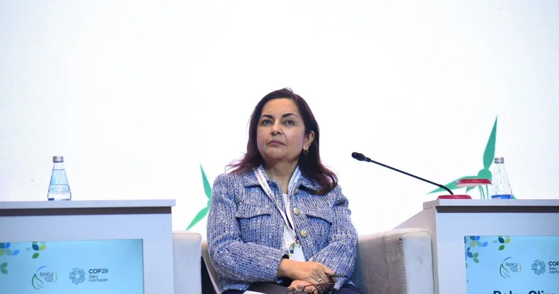 АБР продолжит поддержку Азербайджана в зеленом переходе в ближайшие пять лет