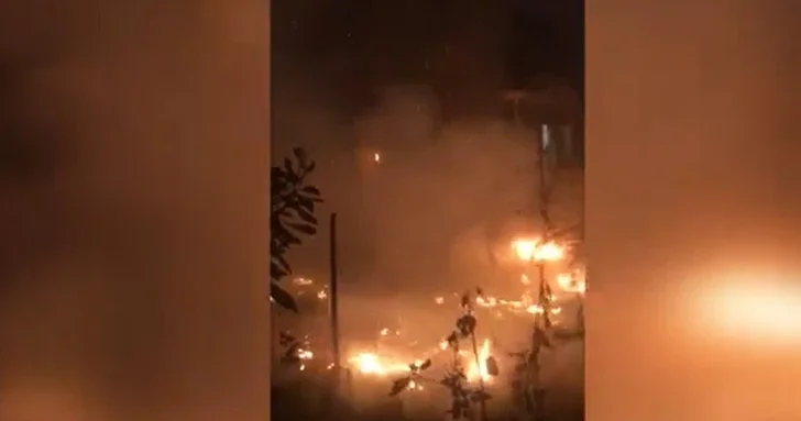 В Баку предотвращено возгорание в лесистой зоне