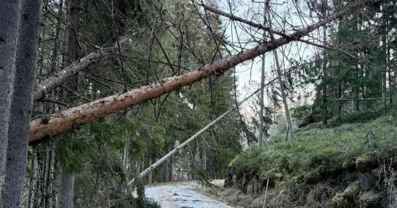 Şimali Avropa ölkələri fırtınanın fəsadlarını aradan qaldırmaqda davam edir