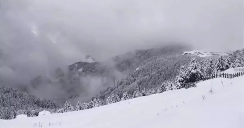 Qar uçqunu üç nəfərin ölümünə səbəb olub