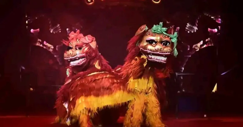 Çin sirk truppasının rəhbəri: Nömrələri xüsusi olaraq azərbaycanlı tamaşaçılar üçün hazırlamışıq