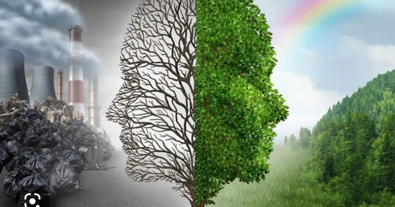 Cərimələr ekoloji pozuntuların qarşısını almağa kifayət edirmi ? EKOLOQ DANIŞDI