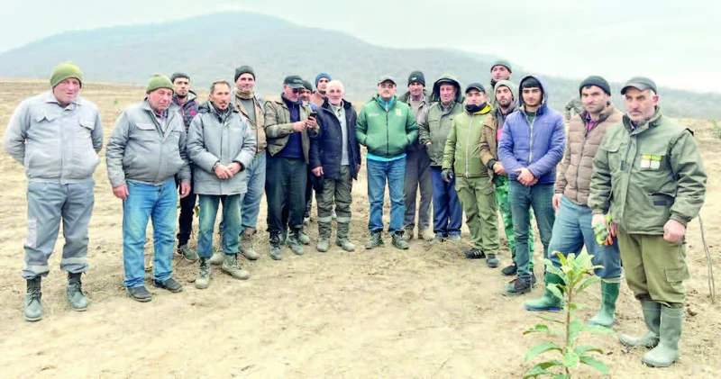 Ağdərənin ekoloji yaraları sağaldılır