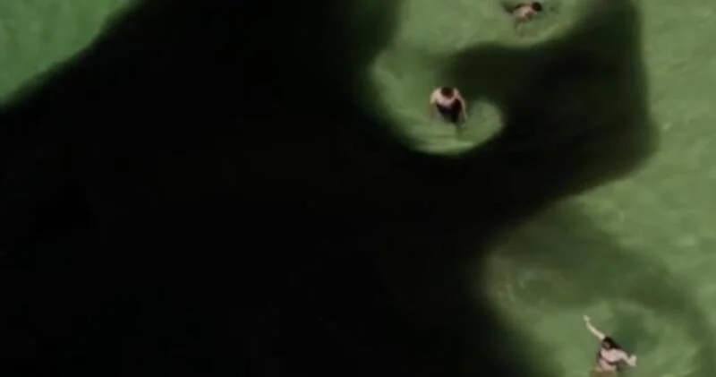 Миллионы маленьких рыбок оккупировали пляжи Рио де Жанейро ВИДЕО