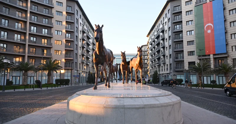 На пике популярности