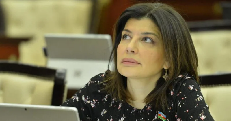 “Biz də böyük sevgi ilə, məsuliyyət ilə öz memarlıq irsimizi qoruyub inkişaf etdirməliyik” Günay Əfəndiyeva