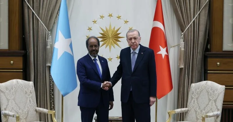 Türkiyə və Somali prezidentləri görüşüb