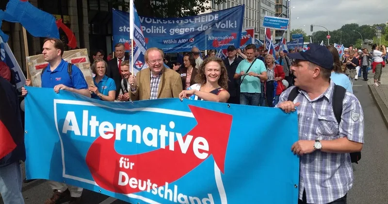 Альтернатива или риск? Немецкая полиция о возможном приходе АдГ к власти