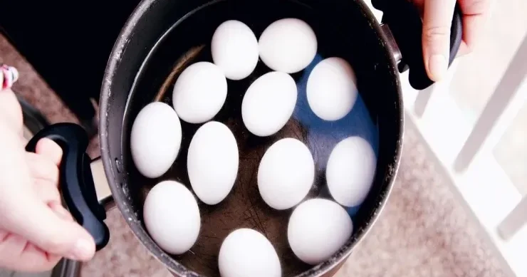 Qaynadılmış yumurtanı niyə soyuq suya salmaq olmaz?