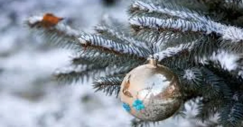 Növbəti 3 gündə hava necə olacaq?