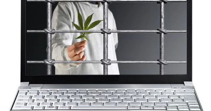 Пропаганда наркотиков в интернете закончилось арестом