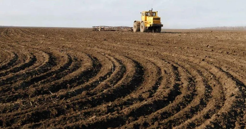 Həsənriz kəndində torpaqlar əkin üçün istifadəyə veriləcək