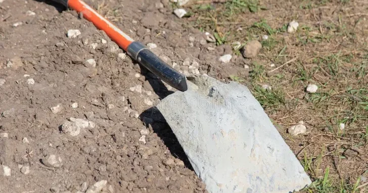 Садовый инвентарь как аргумент в семейном споре: в Баку женщина избила мужа и избежала наказания